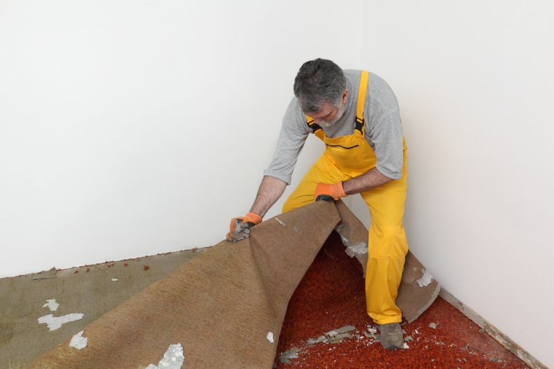 Professional Carpet Removal